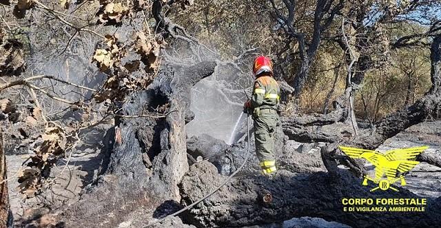 Tre incendi in Sardegna, il più grave nelle campagne di Orgosolo