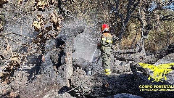 Tre incendi in Sardegna, il più grave nelle campagne di Orgosolo