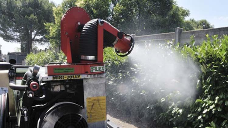 Modena, il bilancio: «West Nile, un contagio al giorno» e c’è il primo caso di Chikungunya
