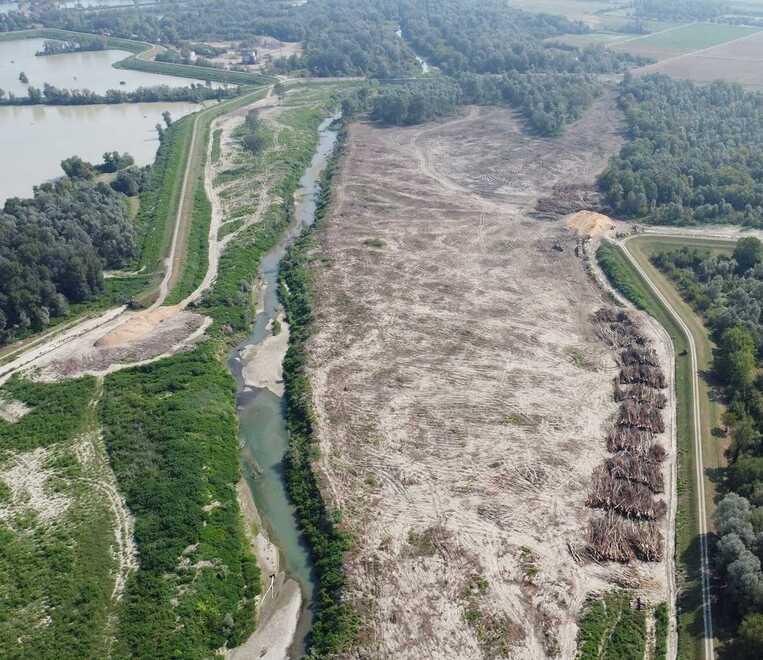 Abbattuto il bosco vicino al Secchia Si scatena la protesta ambientalista
