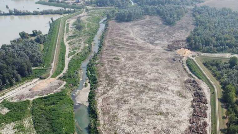 Abbattuto il bosco vicino al Secchia Si scatena la protesta ambientalista