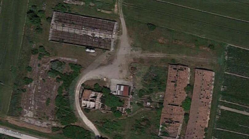 «Allevamento di tacchini? Non si faccia allarmismo»