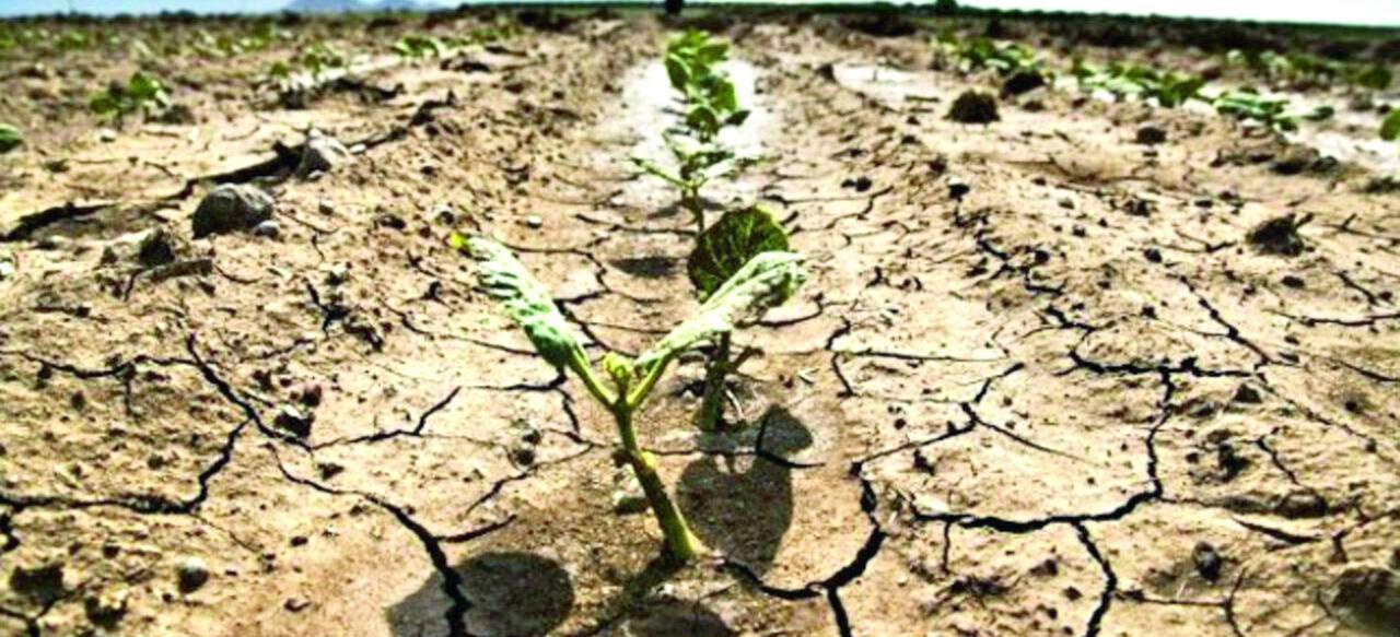 Sos siccità, emergenza infinita tra dissalatori e autobotti