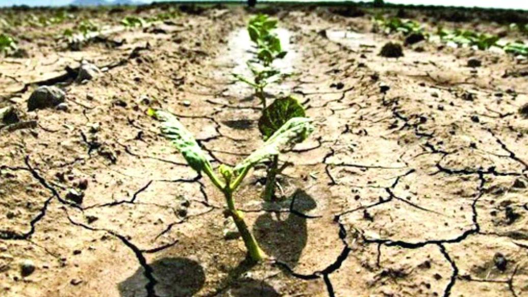 Sos siccità, emergenza infinita tra dissalatori e autobotti