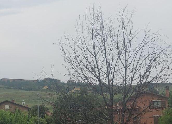 Sassuolo, nasce un comitato di cittadini contro l’antenna di San Michele