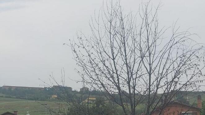Sassuolo, nasce un comitato di cittadini contro l’antenna di San Michele