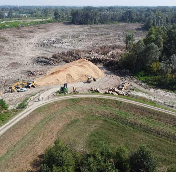 Scatta l’indagine sul taglio degli alberi nel Parco Secchia