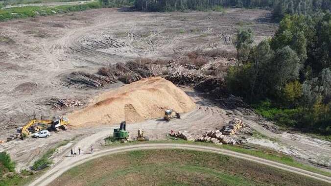 Scatta l’indagine sul taglio degli alberi nel Parco Secchia