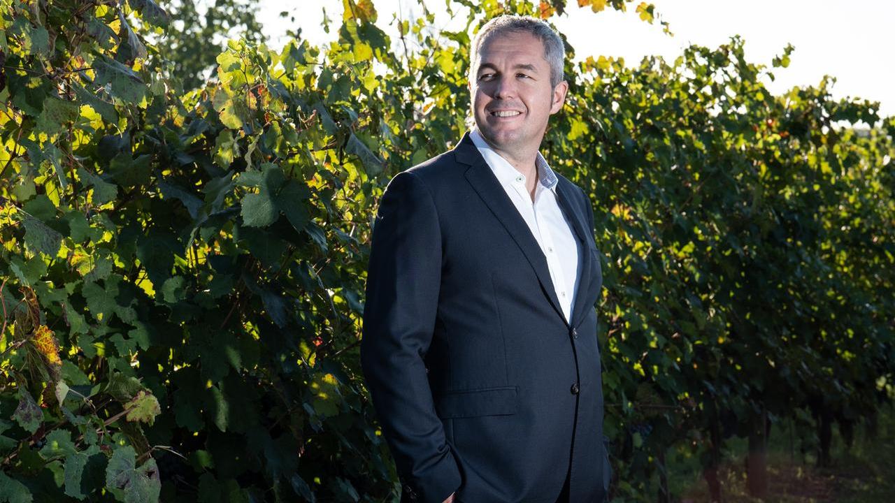 «Così il Lambrusco reagisce alla crisi del clima e dei consumi»