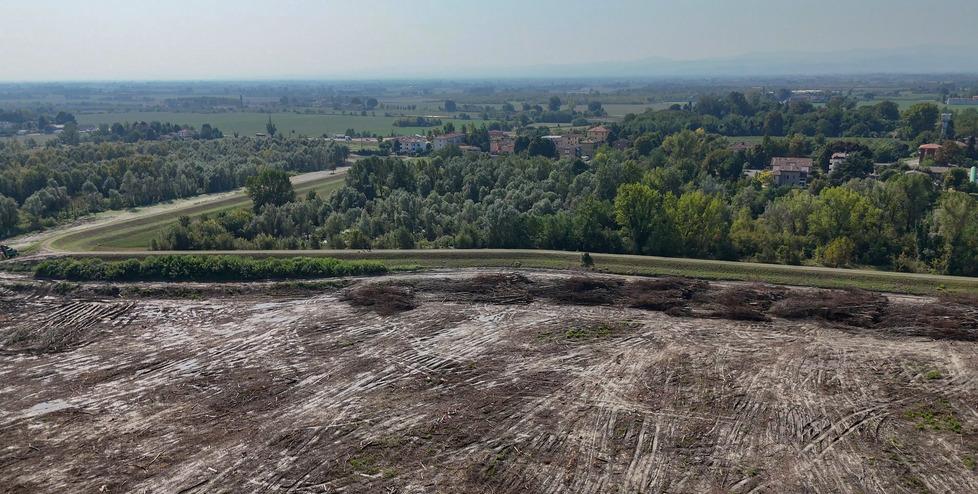 Fiume Secchia, stop al disboscamento: indagine sugli alberi tagliati