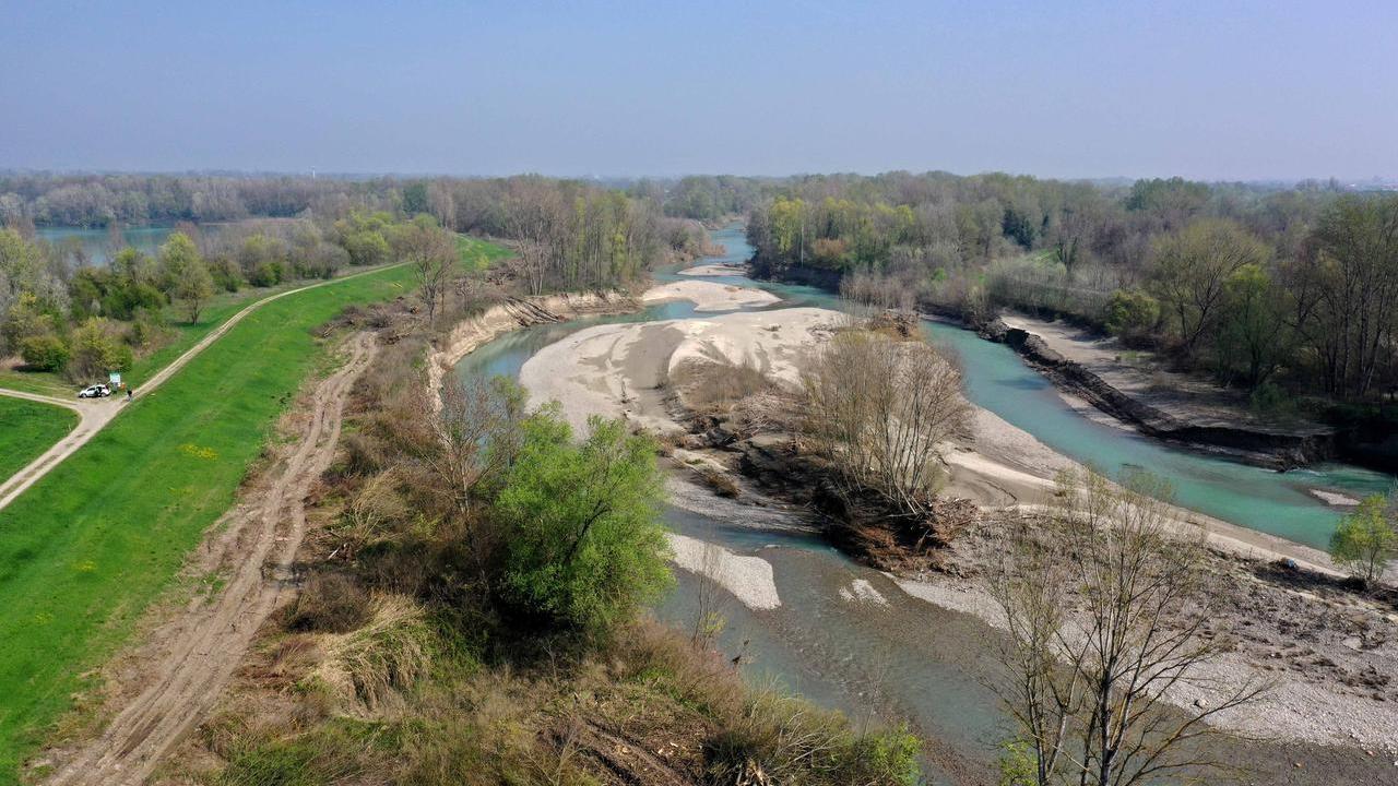 Modena, il Comune convoca Aipo dopo gli alberi tagliati a Marzaglia