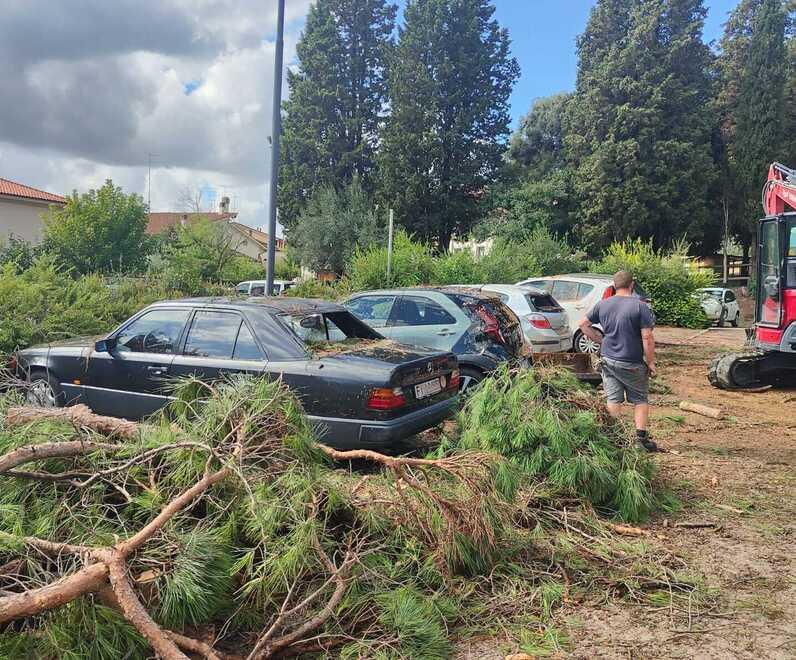 Danni alle quattro auto parcheggiate a Casa Banti causati dal pino caduto per la pioggia