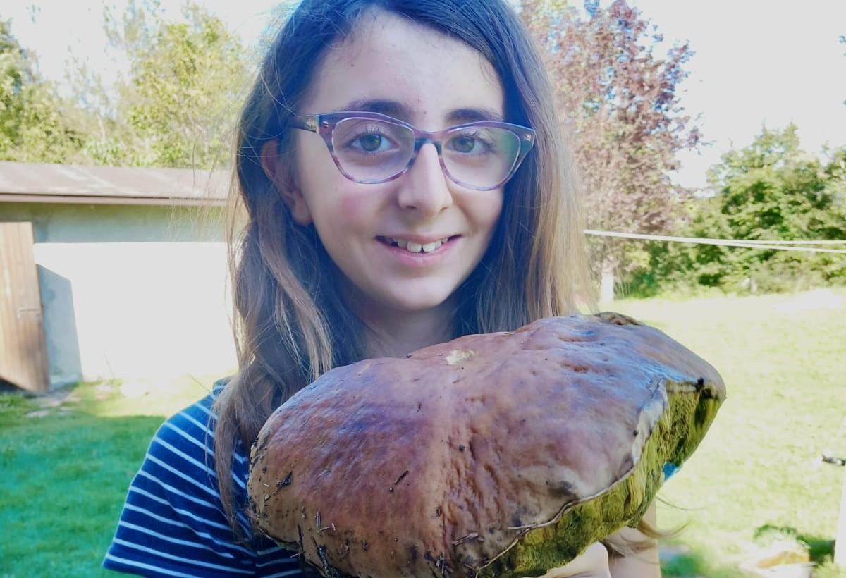 Frassinoro, a dieci anni trova un porcino di 2 chili: «Non potevo crederci»