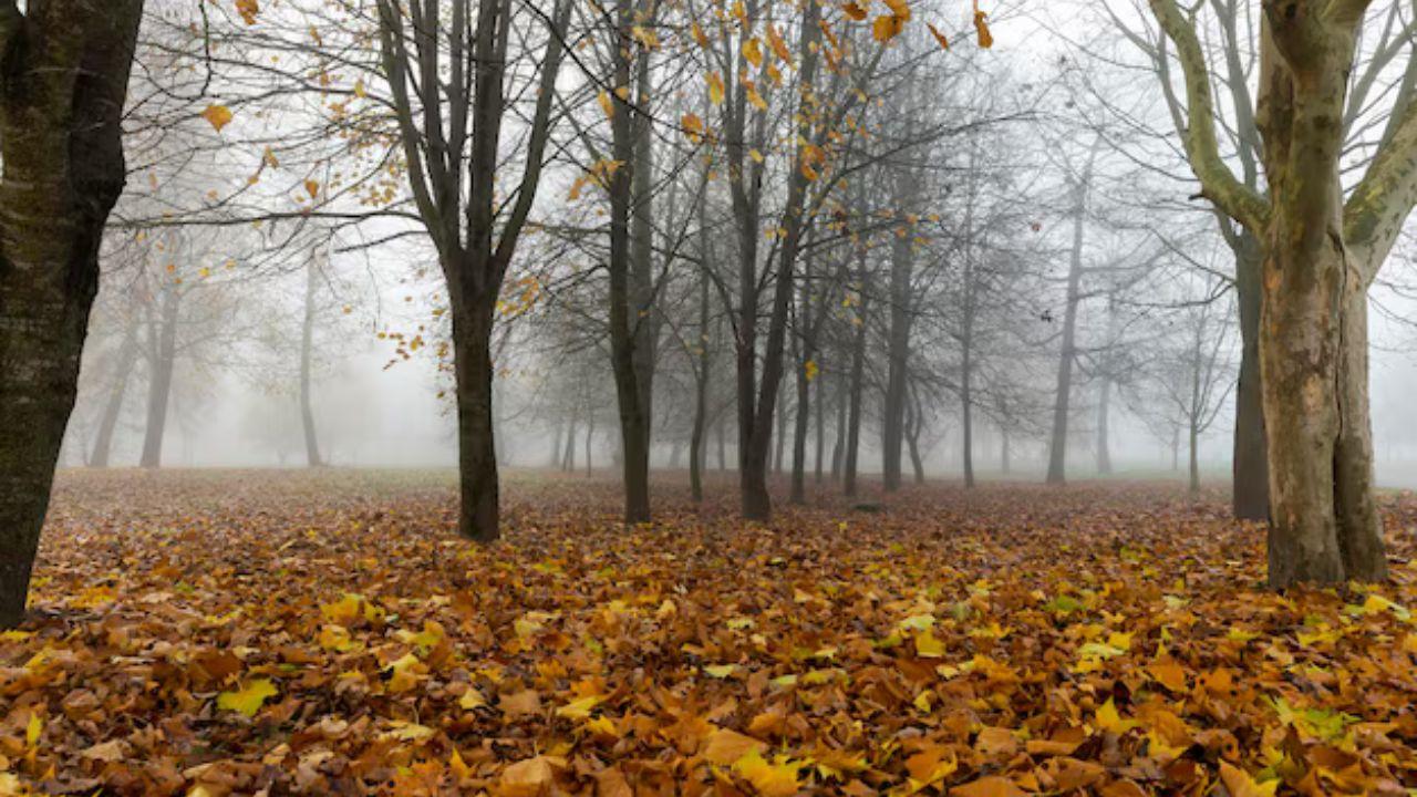 Torna il freddo in Toscana