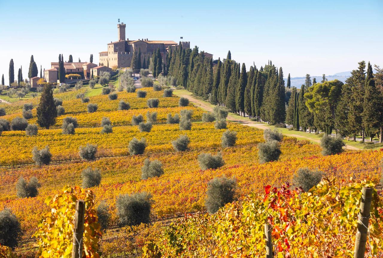 
	Una veduta di Montalcino (foto Muzzi)

