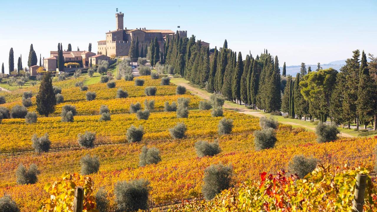 Una veduta di Montalcino (foto Muzzi)