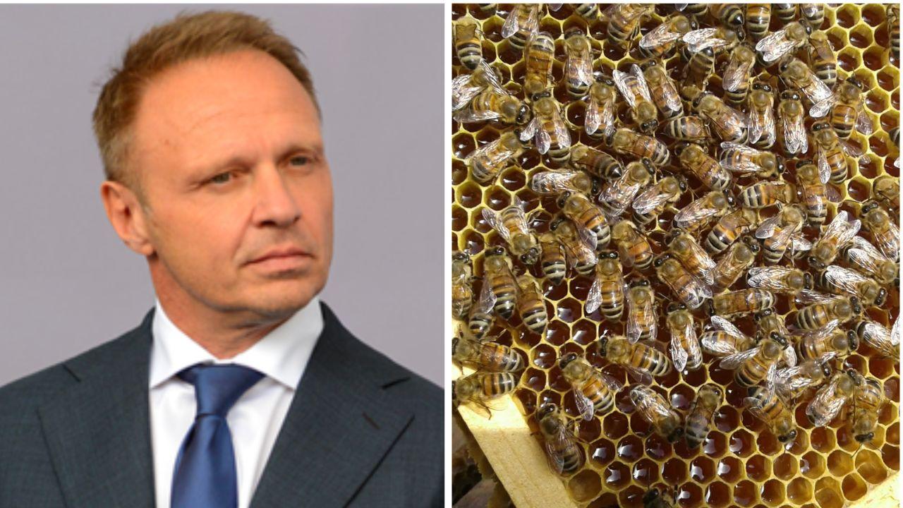 Il ministro Lollobrigida e le api in un'arnia