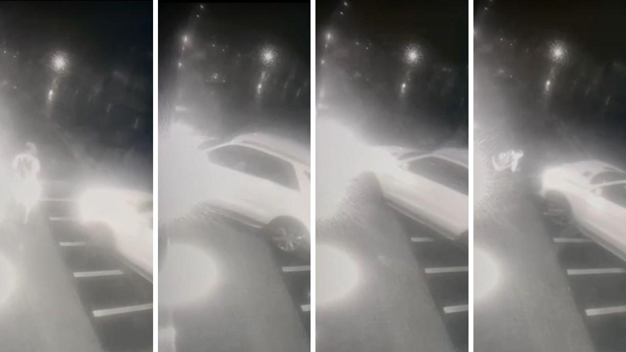 
	La sequenza dell'aggressione mortale: Cinzia Dal Pino ha investito quattro volte il rapinatore

