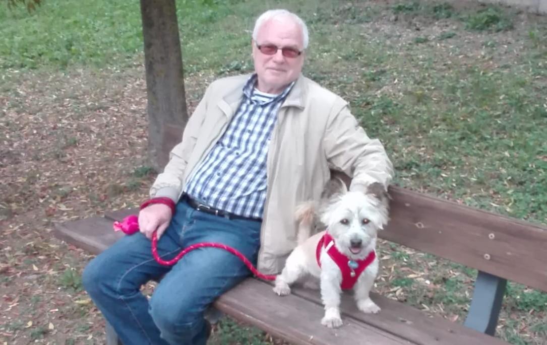 Castelnuovo, pitbull morde un anziano e gli uccide il cagnolino