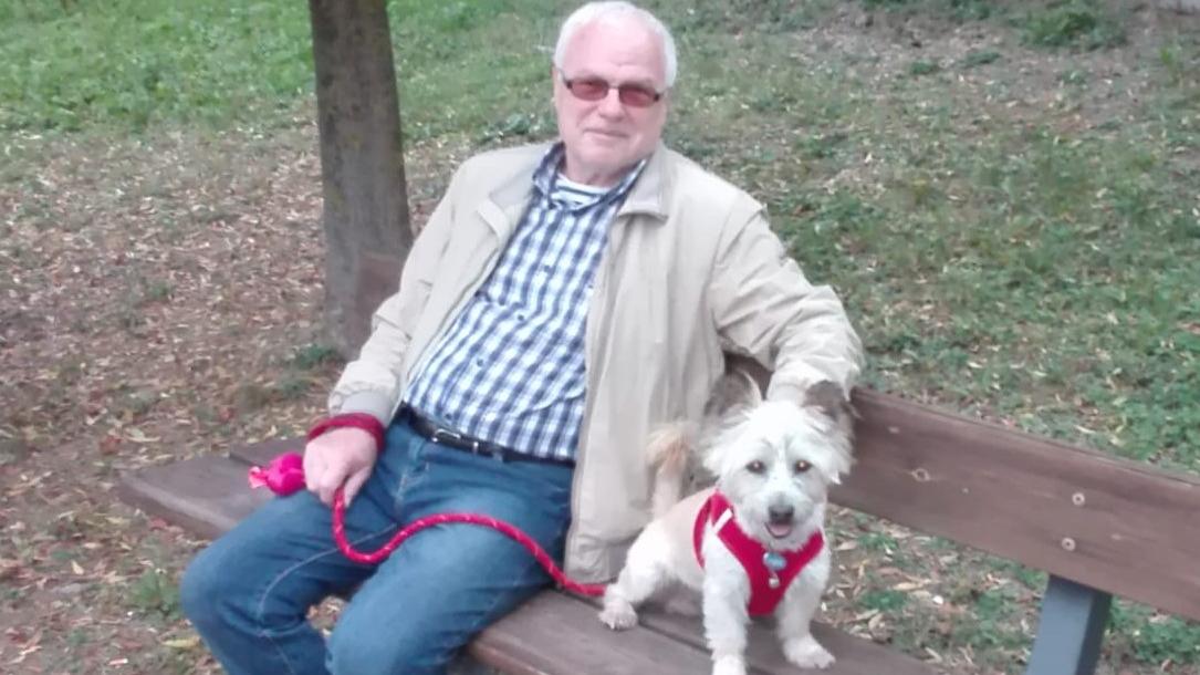 Castelnuovo, pitbull morde un anziano e gli uccide il cagnolino