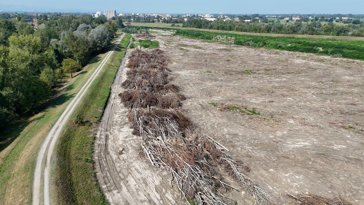 Bosco del fiume Secchia, Ente Parchi conferma: «Troppi alberi tagliati»
