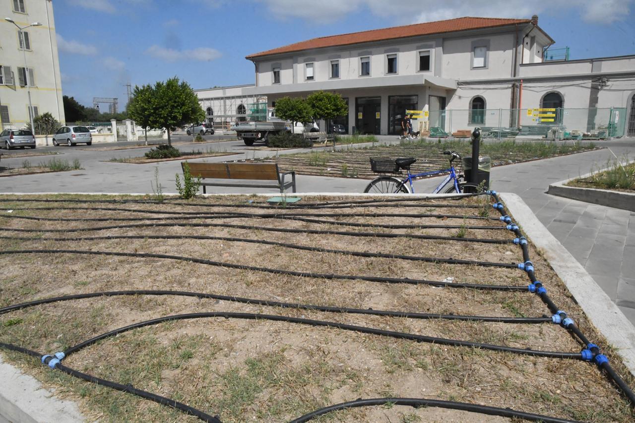 Oristano, il verde in piazza Ungheria costa 25mila euro