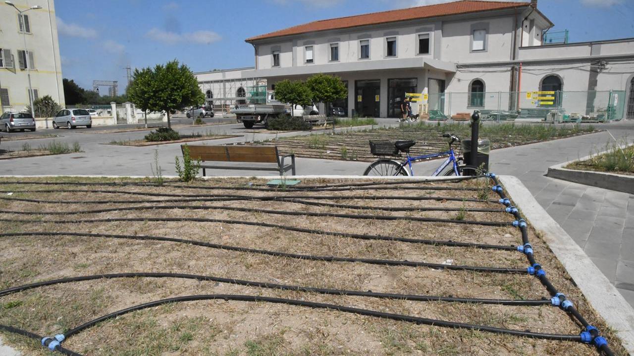 Oristano, il verde in piazza Ungheria costa 25mila euro