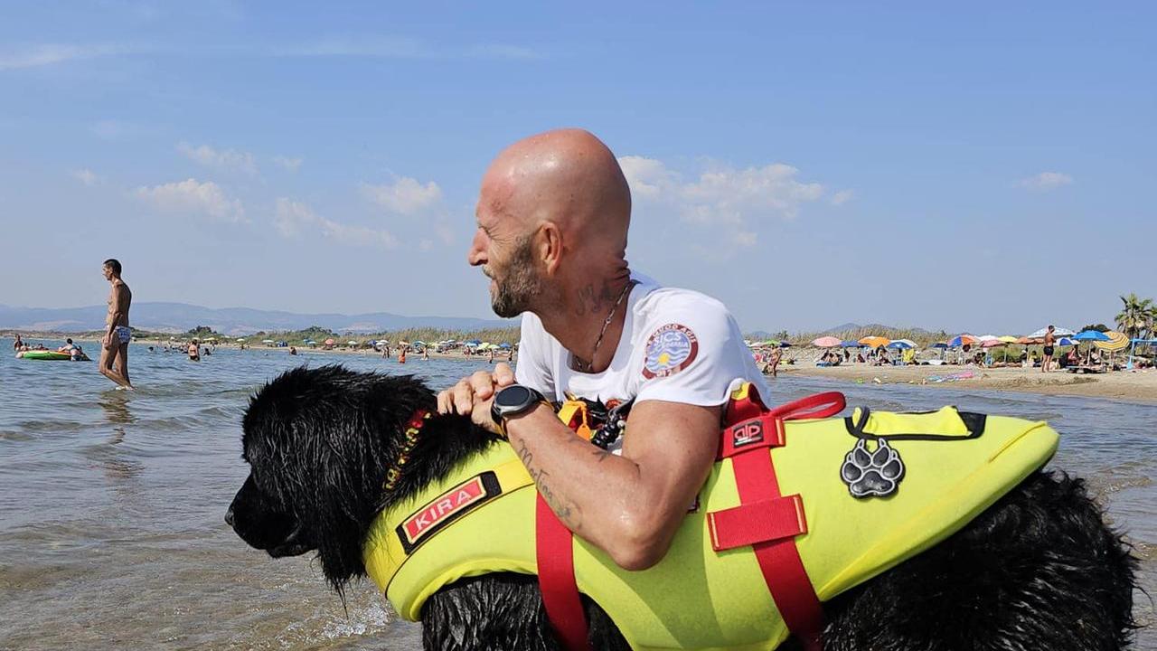 Cani da salvataggio: come fare per istruire il nostro cane