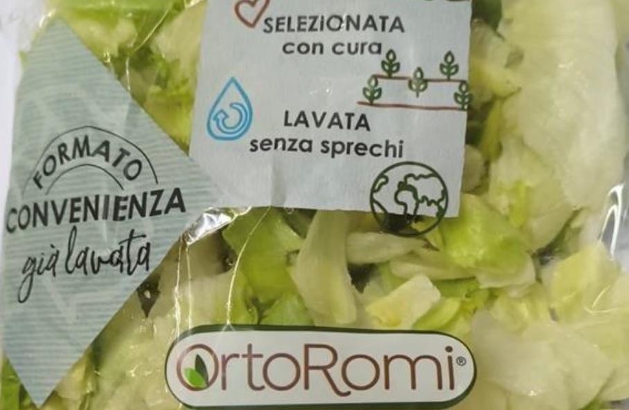 Presenza di Listeria, lotti di insalata iceberg e lattuga in busta richiamati