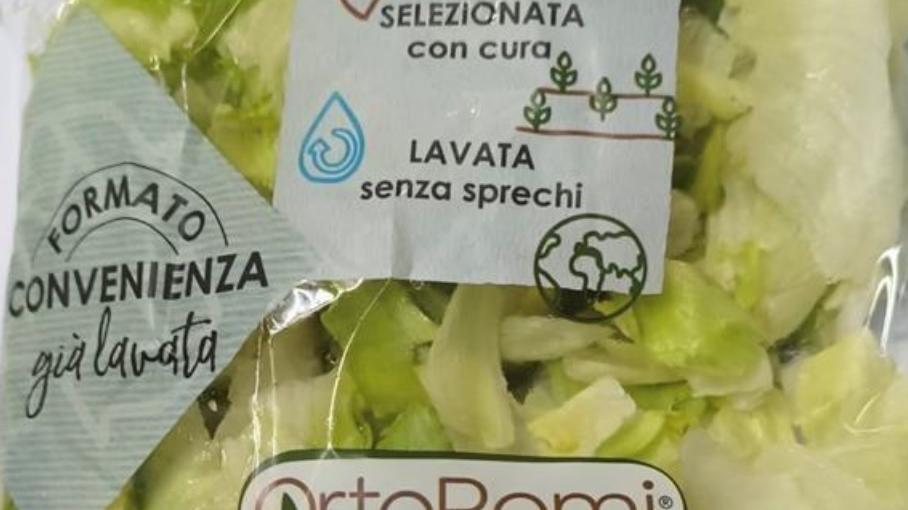 Presenza di Listeria, lotti di insalata iceberg e lattuga in busta richiamati