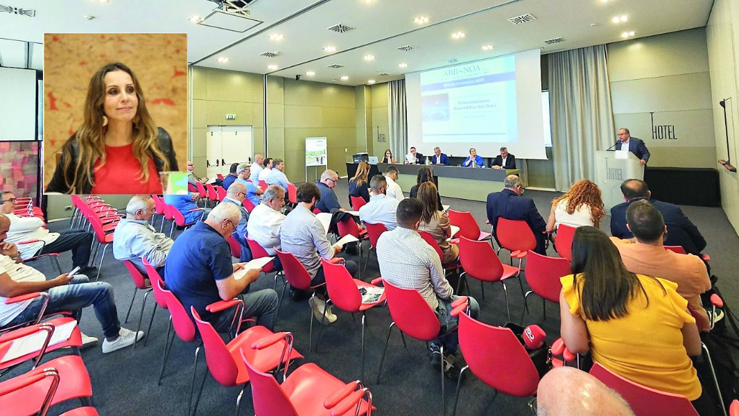 
	Un'assemblea di Abbanoa e Anna Maria Busia&nbsp;

