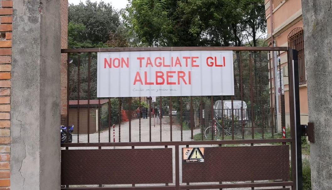 Ferrara, parcheggi nel condominio al posto degli alberi: residenti contrari