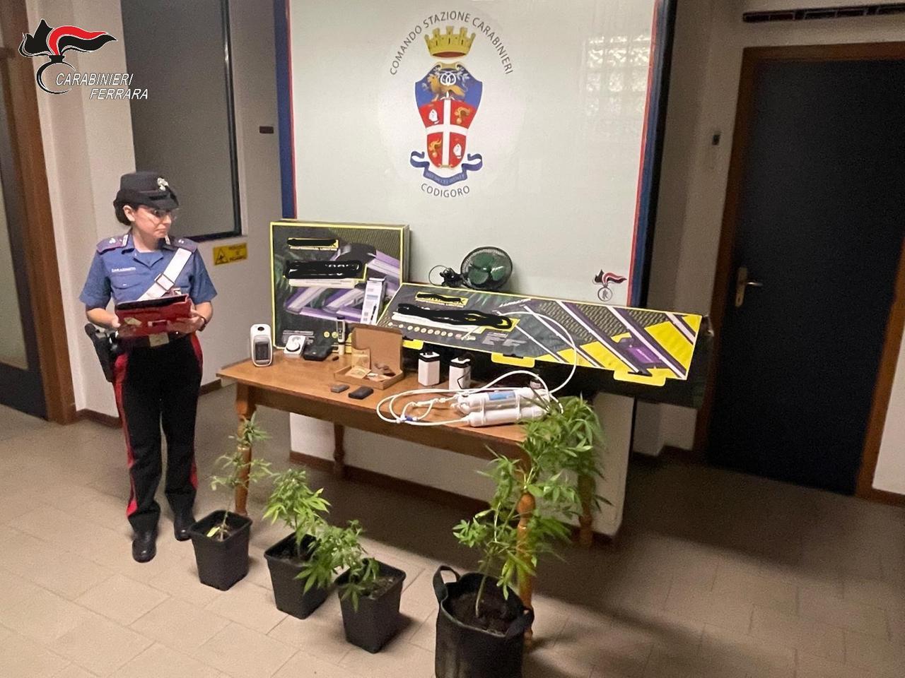 Codigoro, 18enne sorpreso con hashish e cocaina: denunciato dai carabinieri