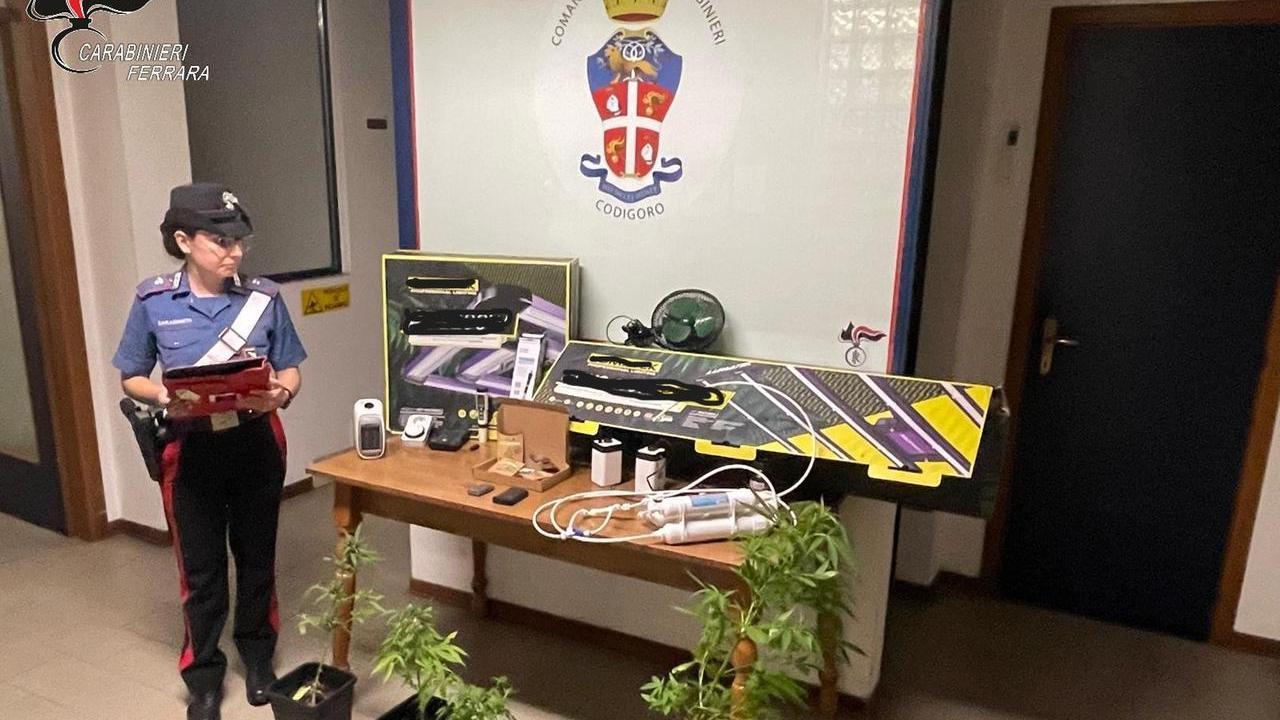 Codigoro, 18enne sorpreso con hashish e cocaina: denunciato dai carabinieri