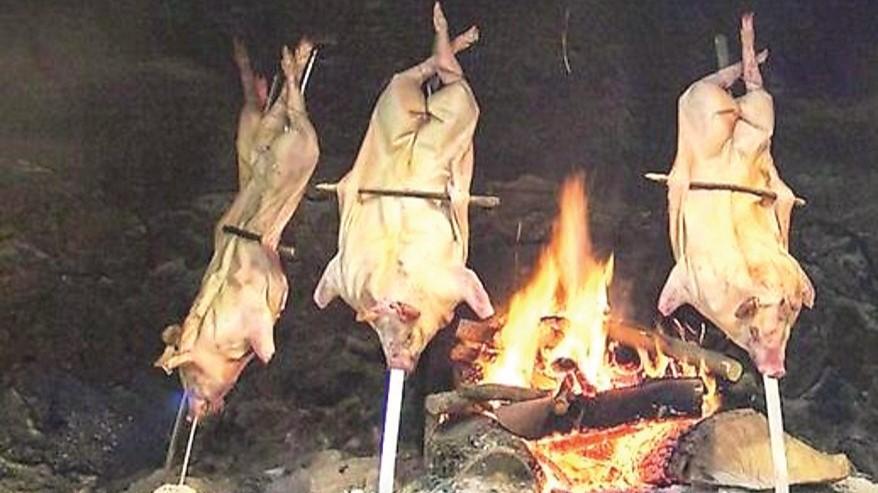 Mancano i codici identificativi: agriturismi fuorilegge in Sardegna