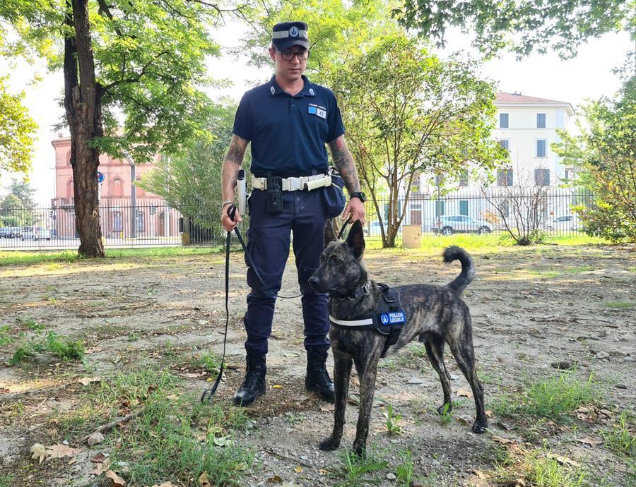 Ferrara, due spacciatori denunciati e sequestri di droga