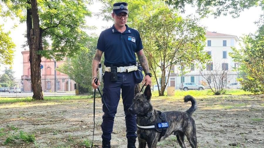 Ferrara, due spacciatori denunciati e sequestri di droga