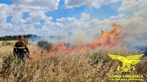 Rogo divampa a Serdiana: 4 ettari di coltivazioni e pinete in cenere
