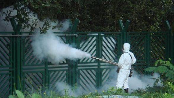 Virus Dengue, a Modena scatta la disinfestazione per un caso sospetto