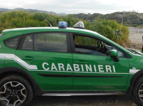 Tre carabinieri forestali indagati: malattie simulate per non lavorare, frode e peculato