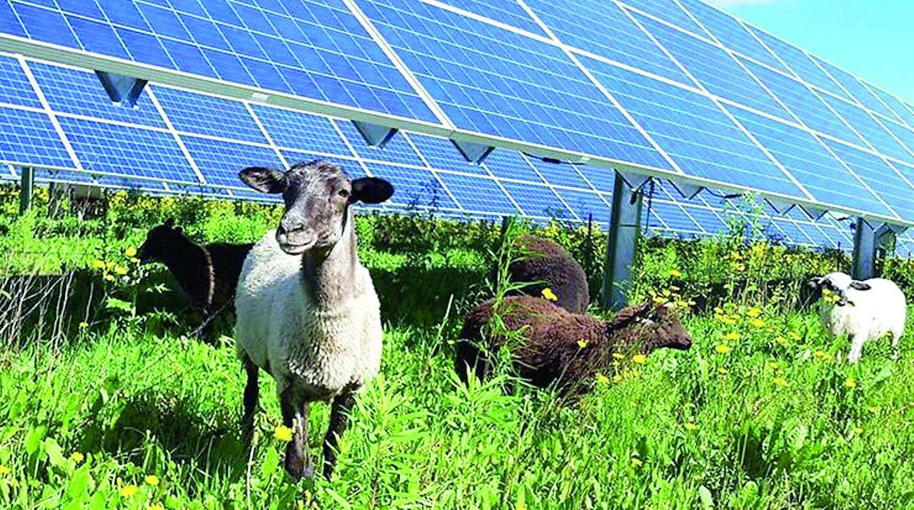 Arturo Lorenzoni: «Le rinnovabili sono un’opportunità per la Sardegna: i Comuni siano al centro delle scelte»