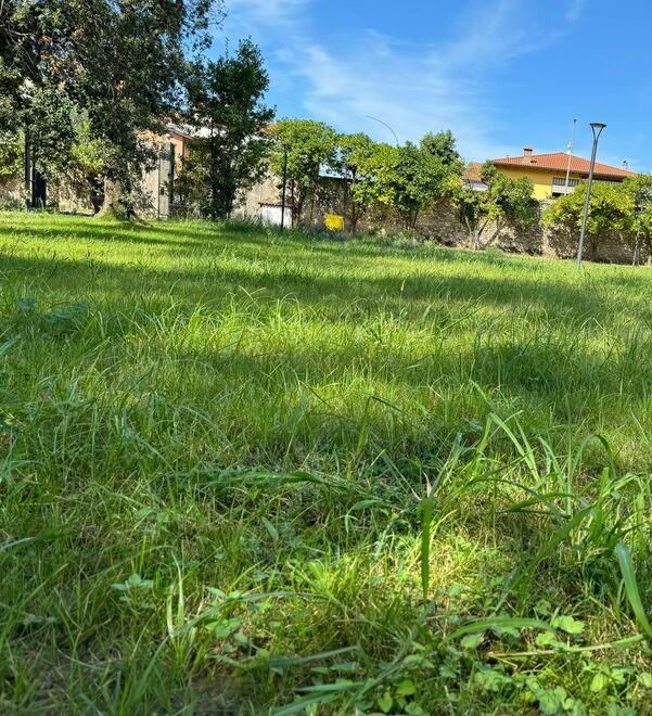 Massa, parco della Rinchiostra inaugurato un mese fa e già dimenticato tra erba incolta e fontana spenta