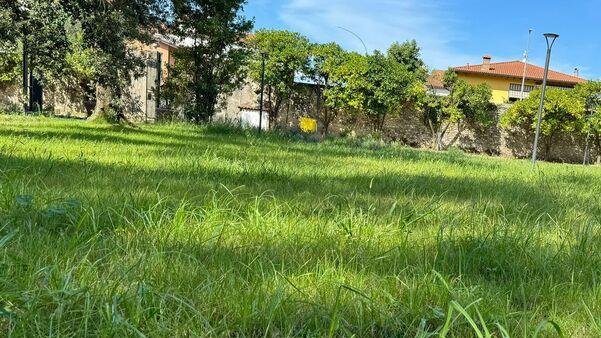 Massa, parco della Rinchiostra inaugurato un mese fa e già dimenticato tra erba incolta e fontana spenta