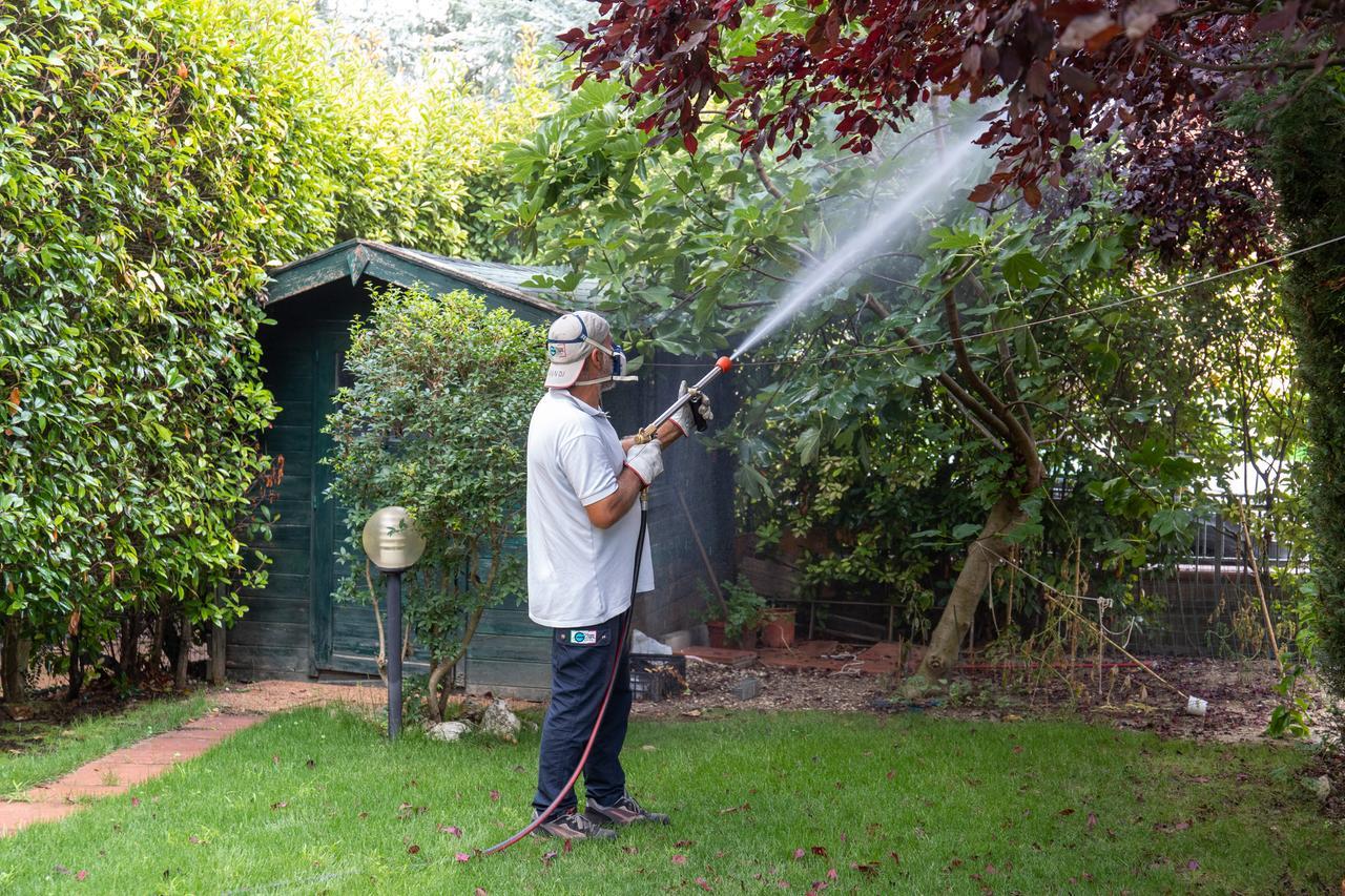 West Nile: quinto morto nel Modenese