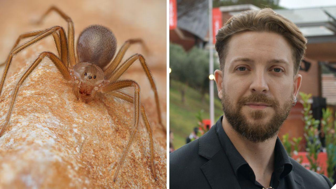 Il ragno violino e l'attore Maurizio Merluzzo