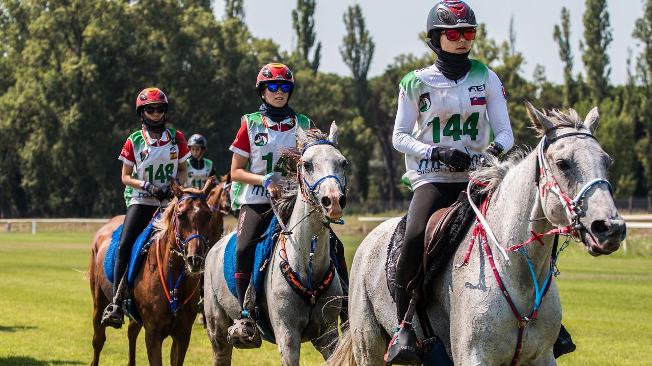 Sardegna Endurance Festival: 29 nazioni e 138 cavalieri