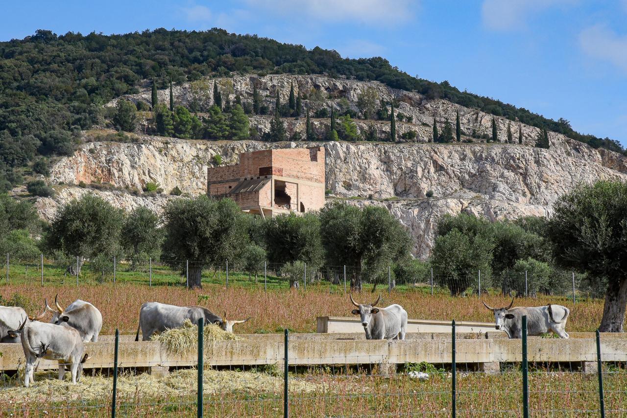 Terme di Roselle, il progetto risorge: in arrivo nuova variante e permessi. Cosa prevede la convenzione