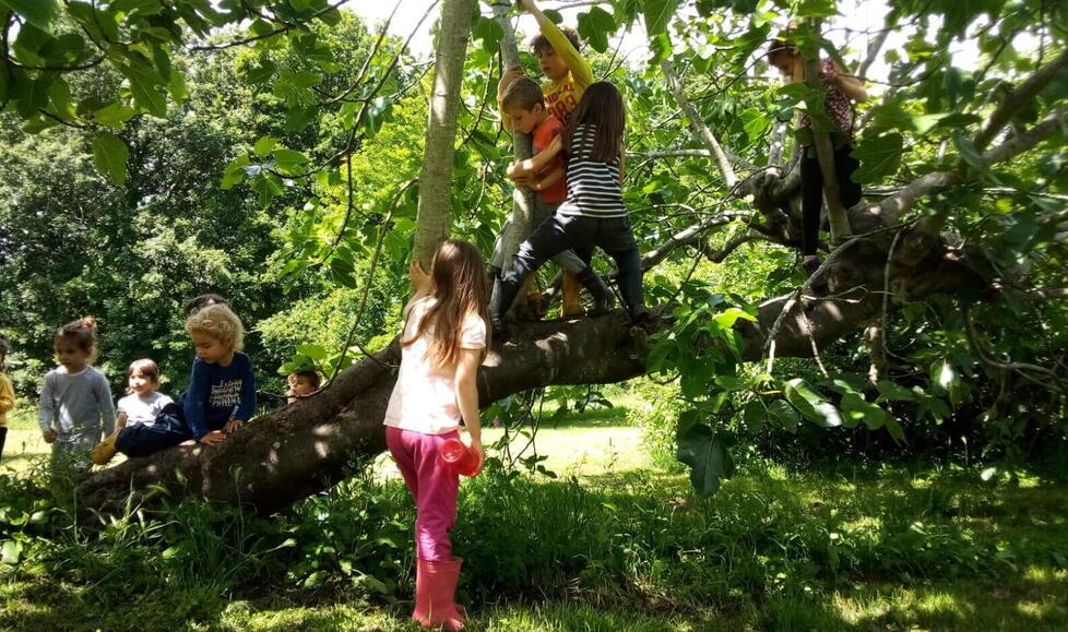 A lezione tra gli alberi? Sì. A Livorno e Collesalvetti la novità delle medie nel bosco