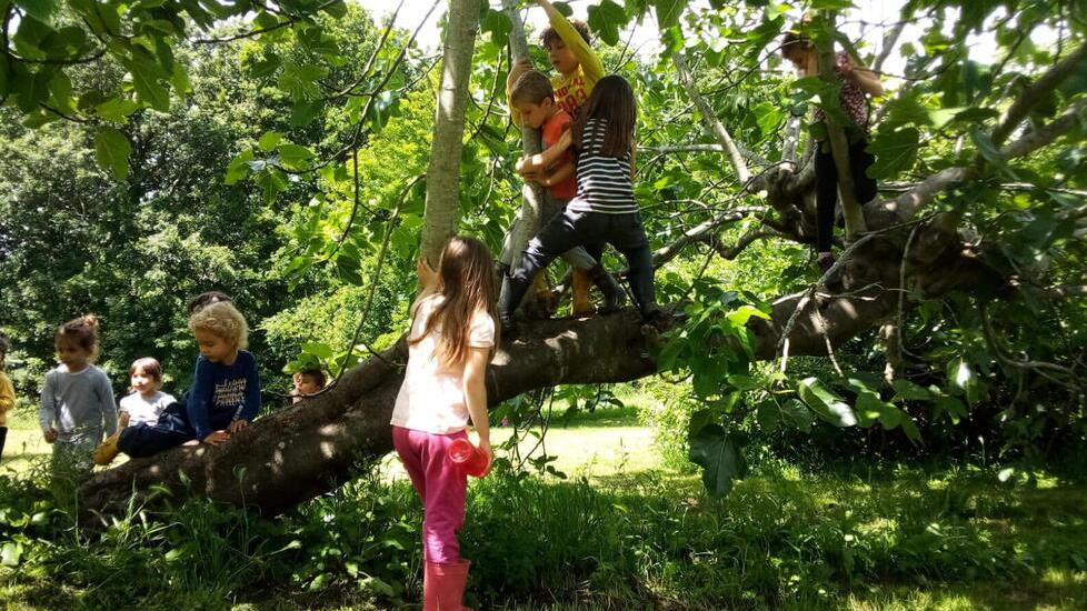 A lezione tra gli alberi? Sì. A Livorno e Collesalvetti la novità delle medie nel bosco