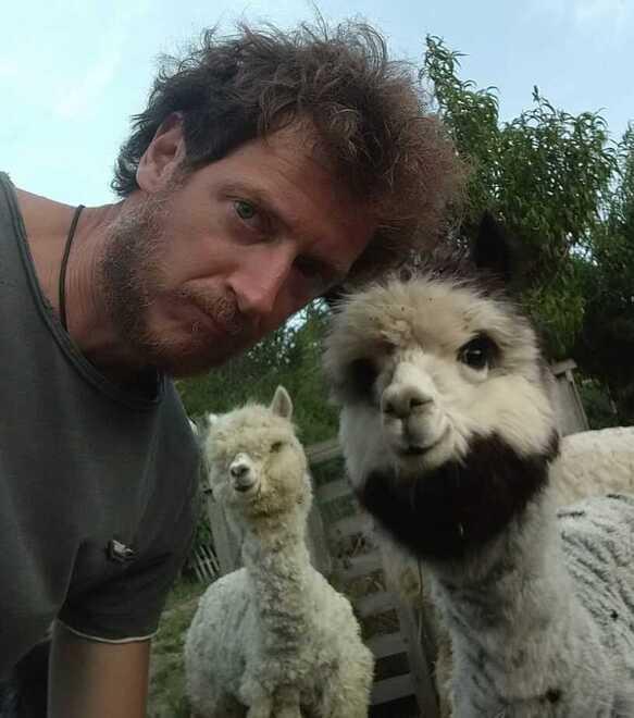 Renazzo, una giornata con gli alpaca domani dalle 9